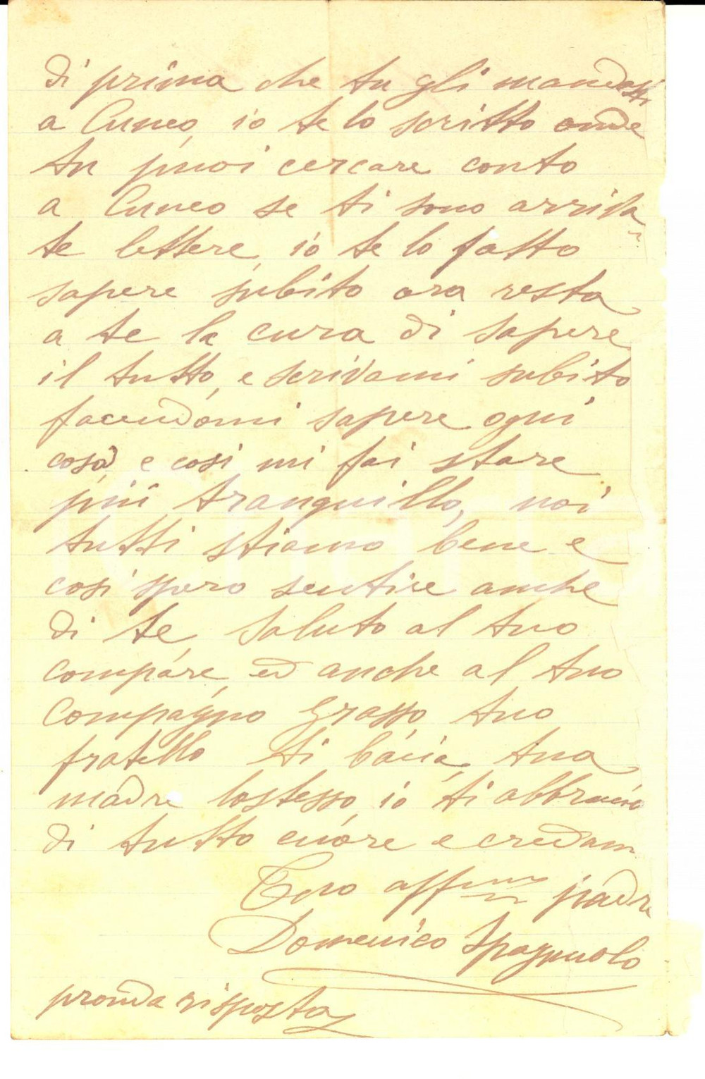 1904 MONTEFUSCO (AV) Domenico SPAGNUOLO dà notizie al figlio lontano *Lettera