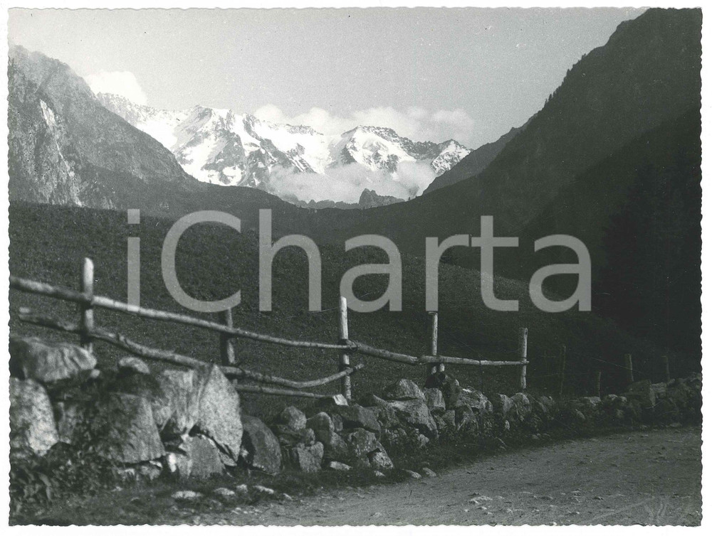 Fotografia d epoca originale 1955 ca VAL PAGHERA / VEZZA  Gruppo del  Baitone Foto Gualtiero LAENG FIRMATA 1