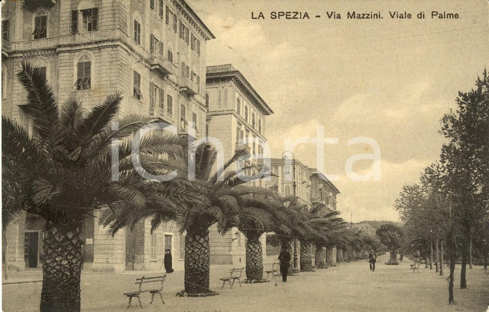 Cartolina originale da collezione 1913 LA SPEZIA Via MAZZINI con palme e passanti Cartolina postale FP VG 1