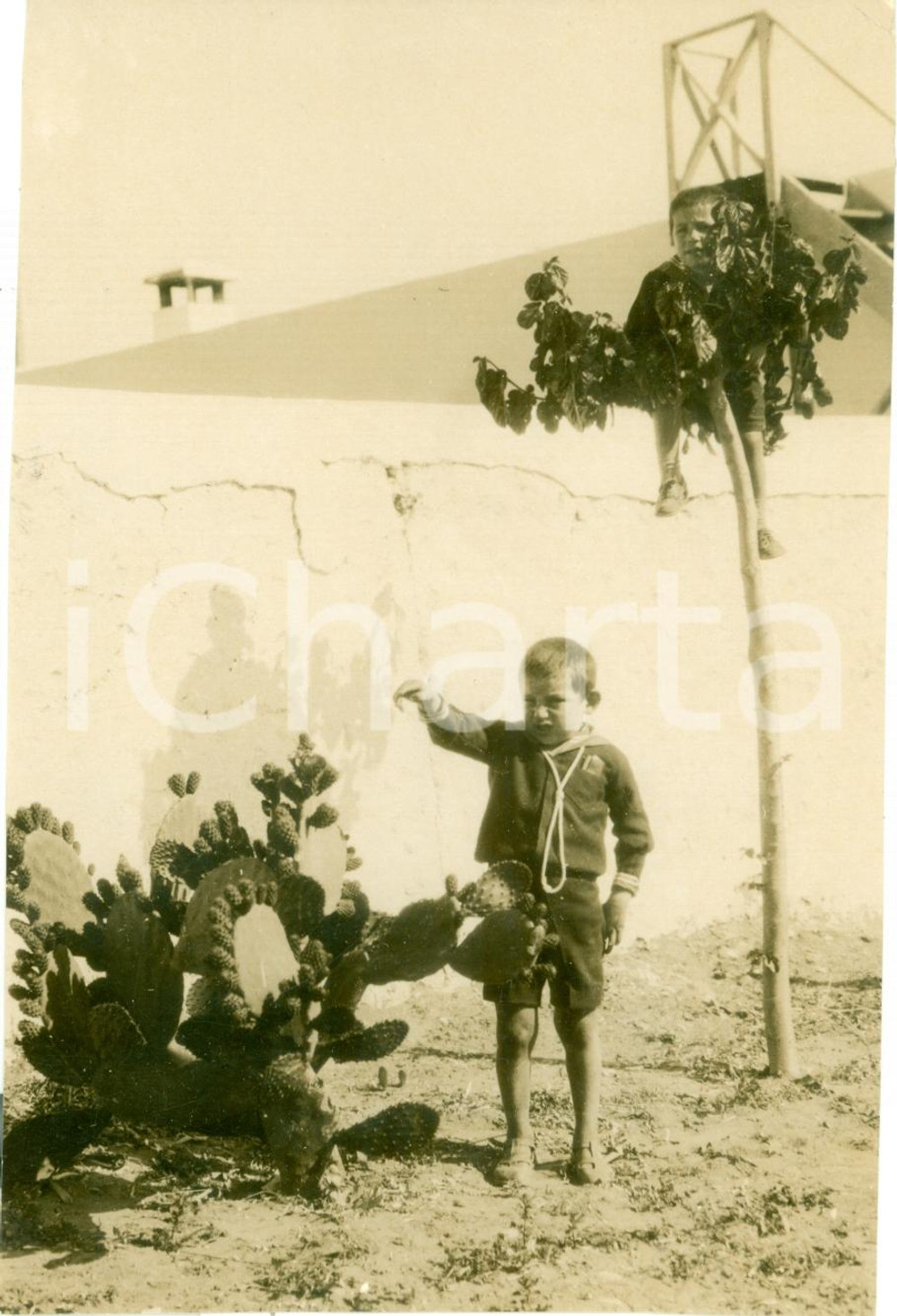 Fotografia d epoca originale 1930 ca LIBIA Piccoli BALILLA giocano con i cactus Fotografia 1