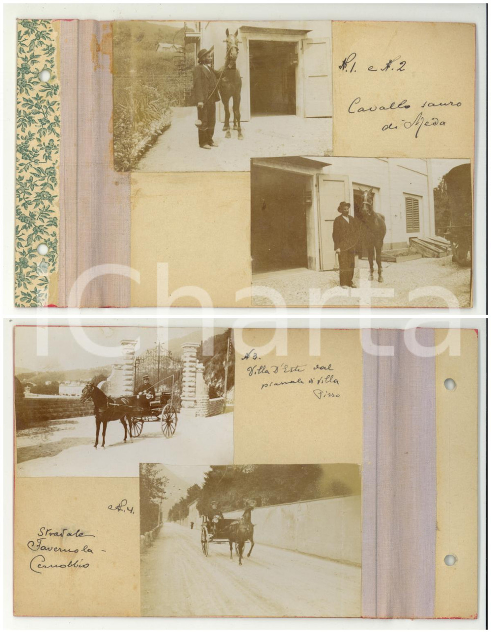 Fotografia d epoca originale 1903 MEDA Cavallo sauro  CERNOBBIO Villa Pizzo  Statale Tavernola  4 foto 1