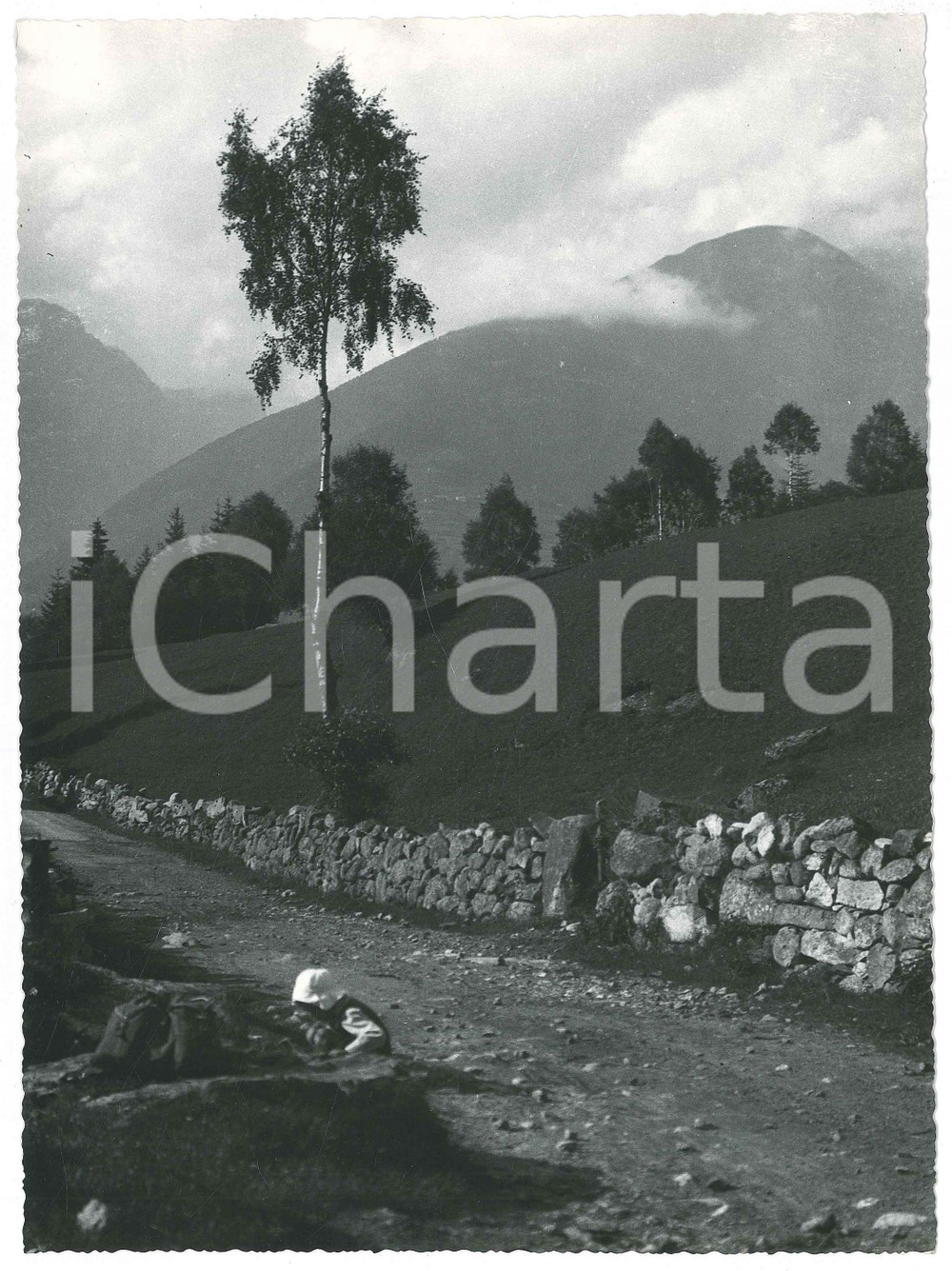 Fotografia d epoca originale 1955 ca VAL PAGHERA / VEZZA D OGLIO Panorama Foto Gualtiero LAENG FIRMATA 1