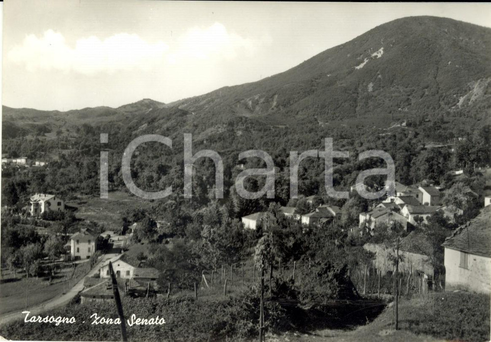 Cartolina originale da collezione 1958 TARSOGNO PR Panorama della localitÃ  SENATO Cartolina postale FG VG 1