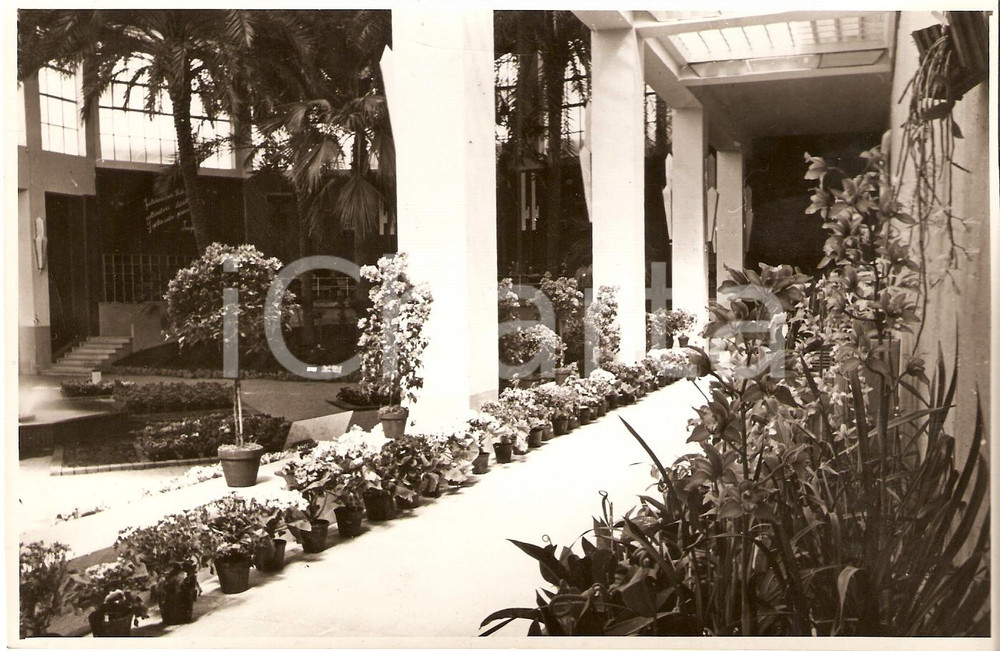 Fotografia d'epoca originale 1938 SANREMO (IM) Padiglione delle orchidee a BIENNALE 1