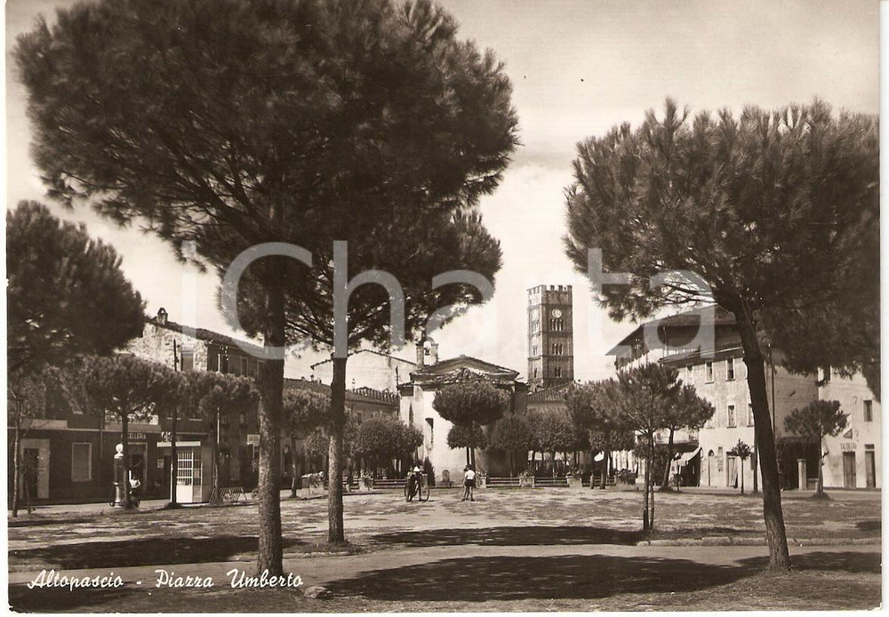 Cartolina originale da collezione 1954 ALTOPASCIO LU Bambini con bicicletta in PIAZZA UMBERTO Cartolina FG VG 1