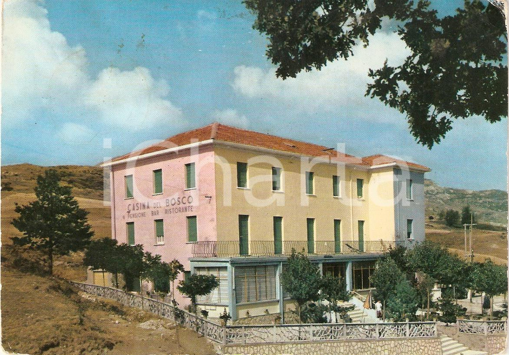 Cartolina originale da collezione 1965 CARPEGNA (PU) Albergo CASINA DEL BOSCO Passo Cantoniera *Cartolina VINTAGE 1