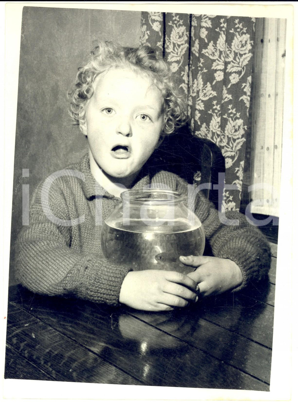 1956 ROTHERHAM Lesley WALKER with the goldfish swallowed - Photo 15x20 cm
