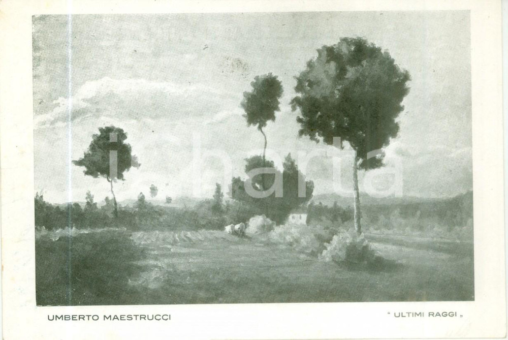 Fotografia d epoca originale 1934 MONTECATINI TERME Umberto MAESTRUCCI Ultimi raggi Cartolina FG NV 1