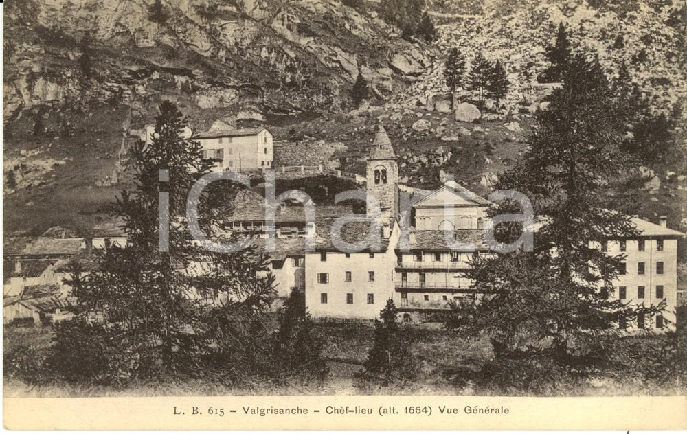 Cartolina originale da collezione 1930 ca AOSTA VALGRISANCHE Scorcio panoramico dell'abitato *Cartolina FP NV 1