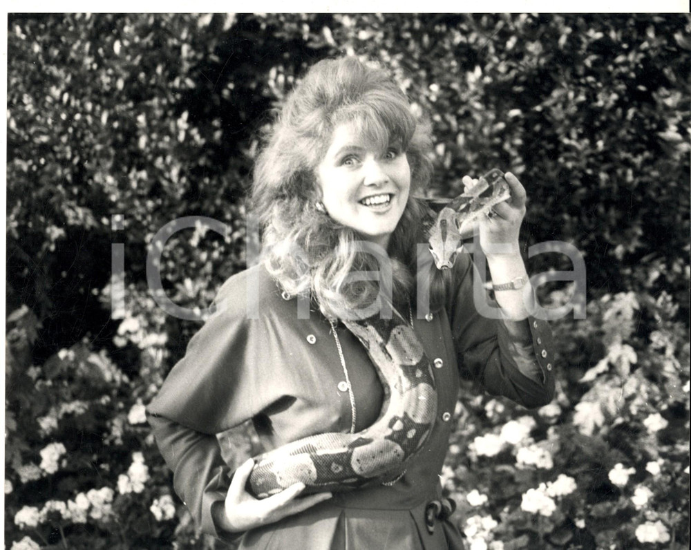 1970 ca COSTUME Ritratto di Giselle BURMINGHAM con pitone - Foto 25x20