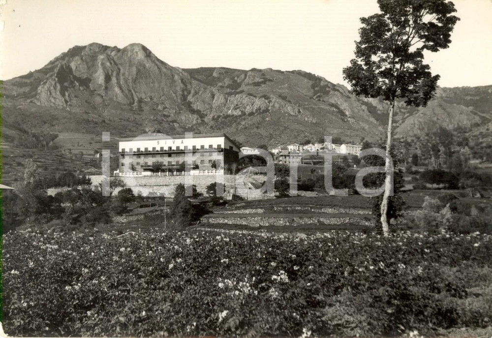 Cartolina originale da collezione 1954 SANTO STEFANO D'AVETO (GE) Grand Hotel SIVA e Monte GROPPOROSSO *FG VG 1