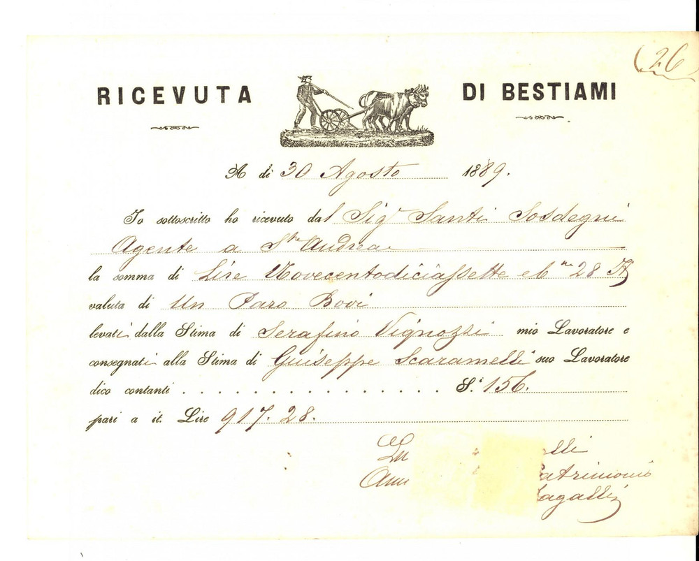 Documento originale, autentico 1889 FIRENZE ? Ricevuta per un paio di buoi all agente Santi SOSTEGNI 1