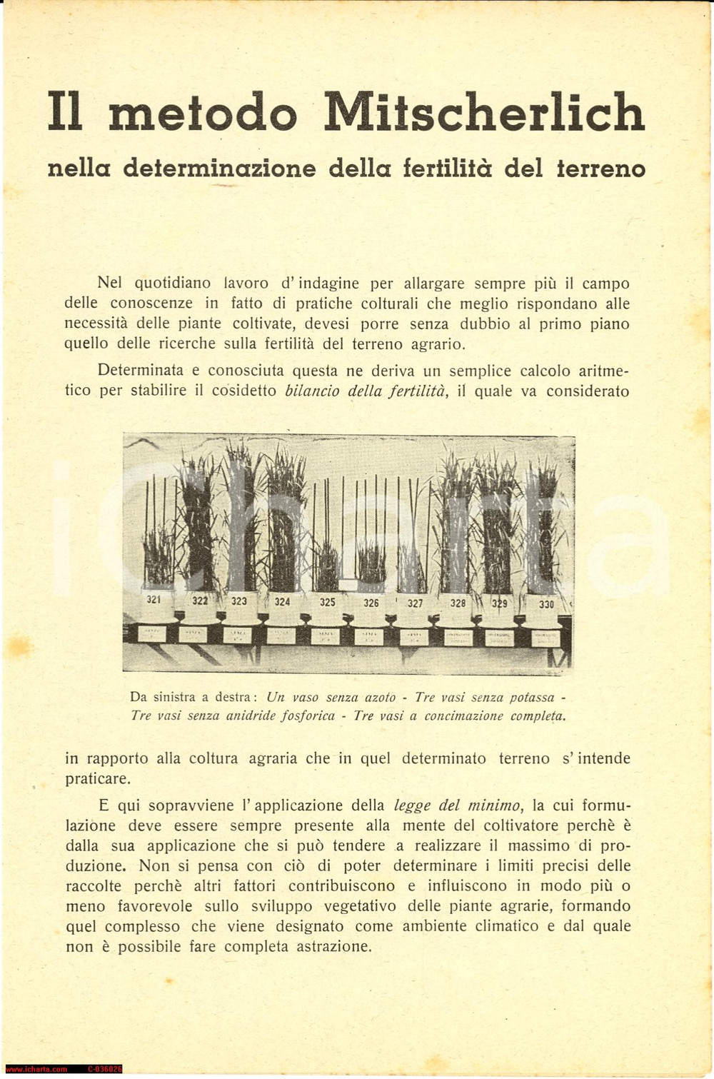 Oggetto da collezione cartaceo 1939 Ilario ZANNONI Metodo MITSCHERLICH per fertilità del terreno 1