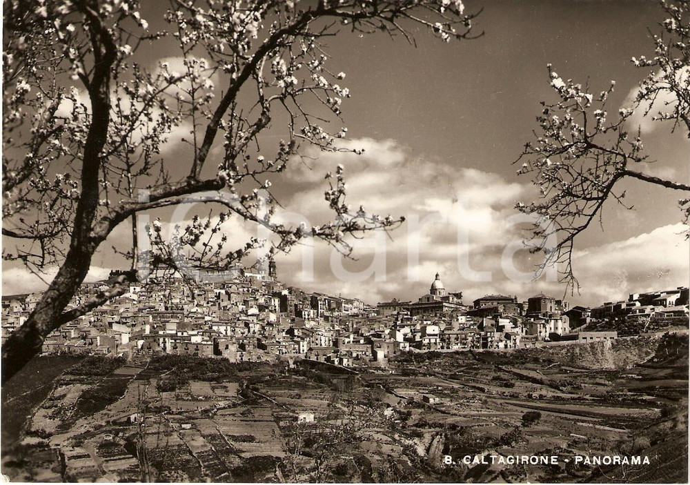 Cartolina originale da collezione 1952 CALTAGIRONE CT Scorcio panoramico tra i ciliegi Cartolina FG VG 1