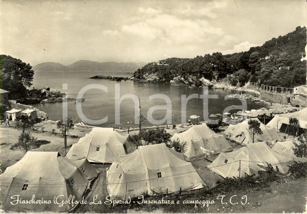 Cartolina originale da collezione 1954 LERICI (SP) Campeggio TORING CLUB ITALIANO a FIASCHERINO *Cartolina FG VG 1