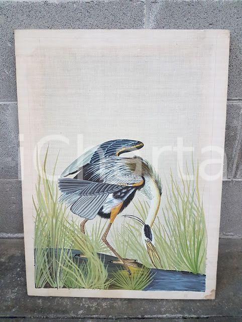 1975 CINA VINTAGE Uccello trampoliere piumaggio grigio azzurro - quadro 42x57 cm