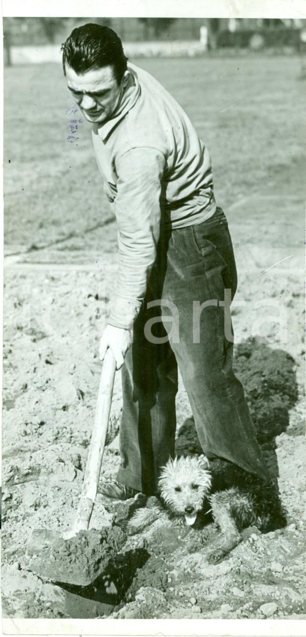 Fotografia d epoca originale 1939 MILANO Boxe Pugile Saverio TURIELLO si allena zappando la terra FOTO 1