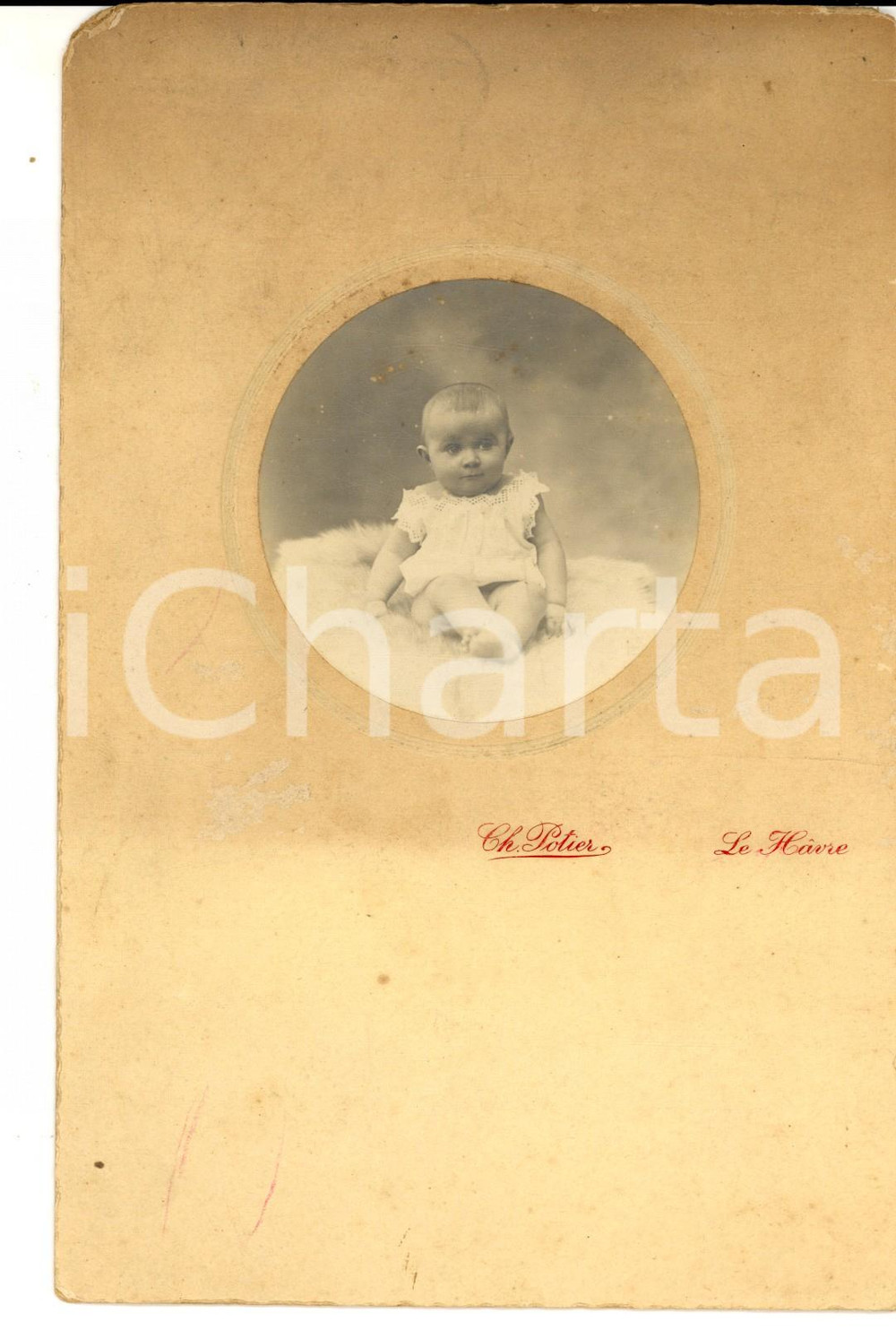 Fotografia d epoca originale 1910 ca LE HAVRE F Ritratto di bambino di pochi mesi Foto POTIER 13x20 cm 1