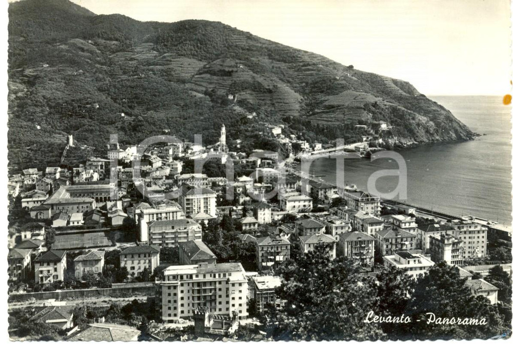 Cartolina originale da collezione 1962 LEVANTO SP Veduta panoramica del paese Cartolina FG VG 1