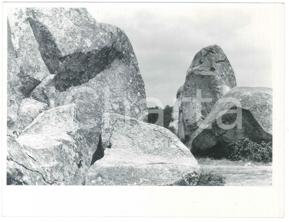 Fotografia d epoca originale 1963 CARNAC  FRANCE Les Alignements  Foto ARTISTICA 24x18 cm 3 1