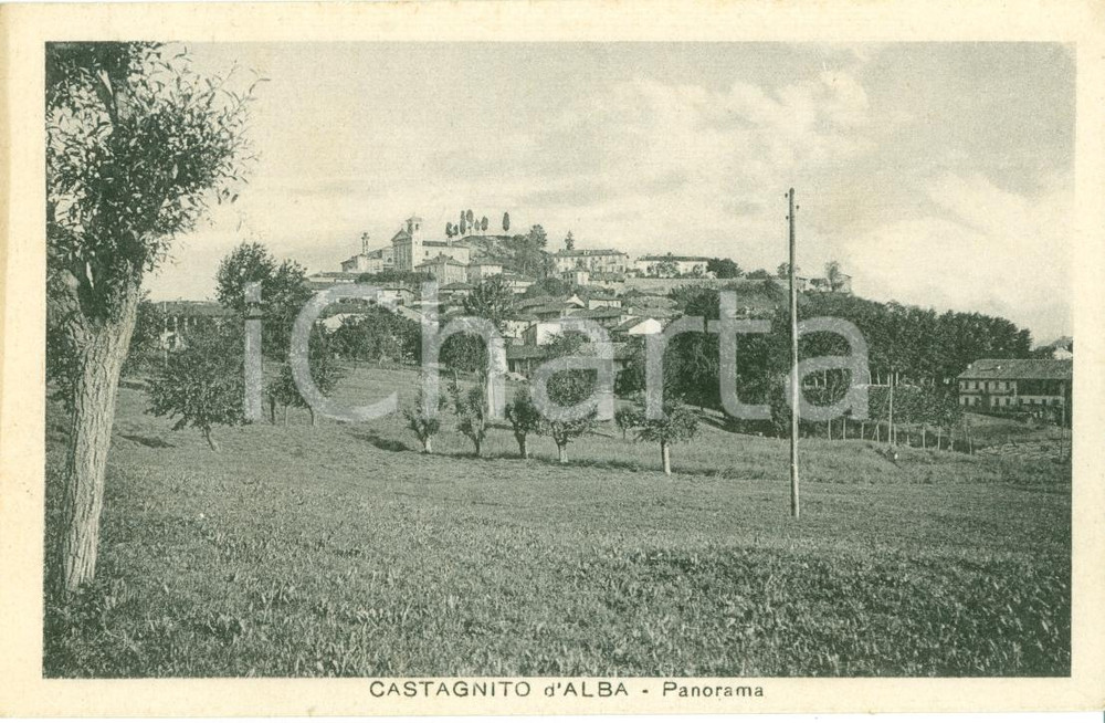 Cartolina originale da collezione 1929 CASTAGNITO D'ALBA (CN) Panorama del paese cartolina FP VG 1