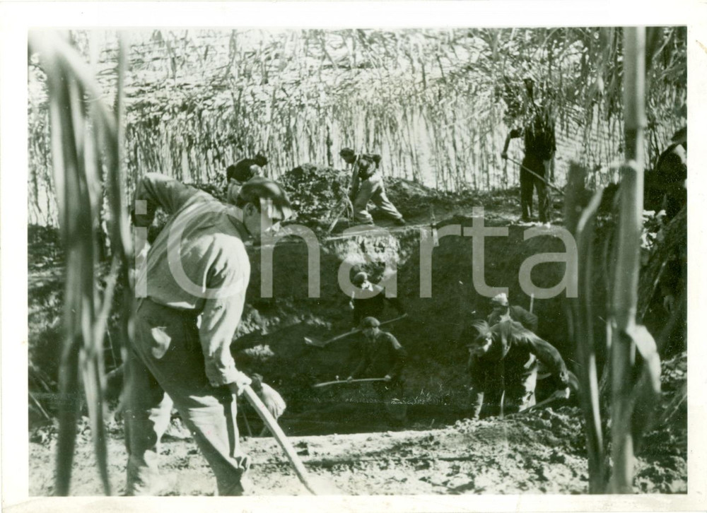 Fotografia d epoca originale 1942 SUD ITALIA WWII Carcerati tedeschi Organisation TODT scavano trincee FOTO 1