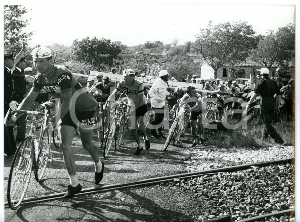 1965 BENEVENTO - GIRO D'ITALIA Ciclisti al passaggio a livello *Foto 24x18 cm Fotografia d'epoca con didascalia coeva al verso. CONDIZIONI: GFORMATO: 24x18 cm     originale e autentica 1