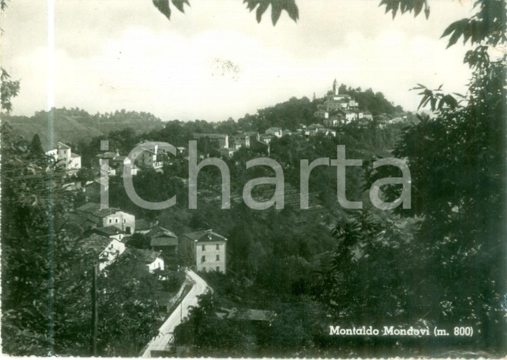 Cartolina originale da collezione 1955 ca MONTALDO DI MONDOVÃŒ CN Veduta panoramica del paese Cartolina FG VG 1