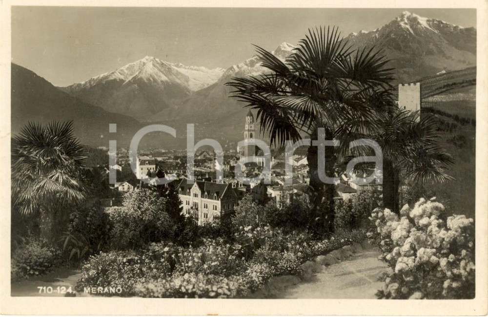 Cartolina originale da collezione 1931 MERANO (BZ) Veduta cittÃ  con montagne innevate e palme *Cartolina FP VG 1