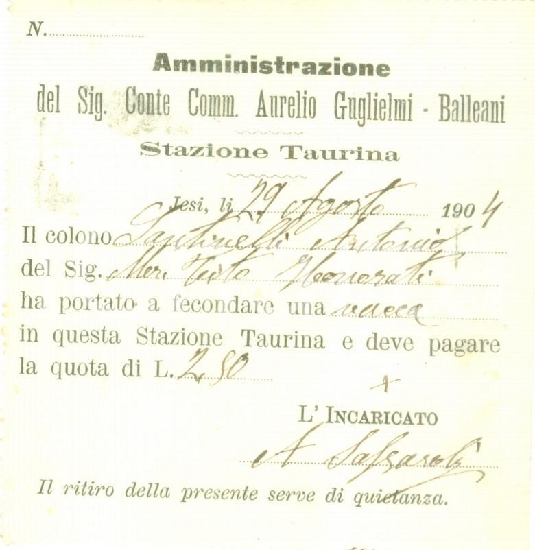 Documento originale, autentico 1904 JESI AN Stazione Monta Taurina Conte Aurelio GUGLIELMIBALLEANI 1