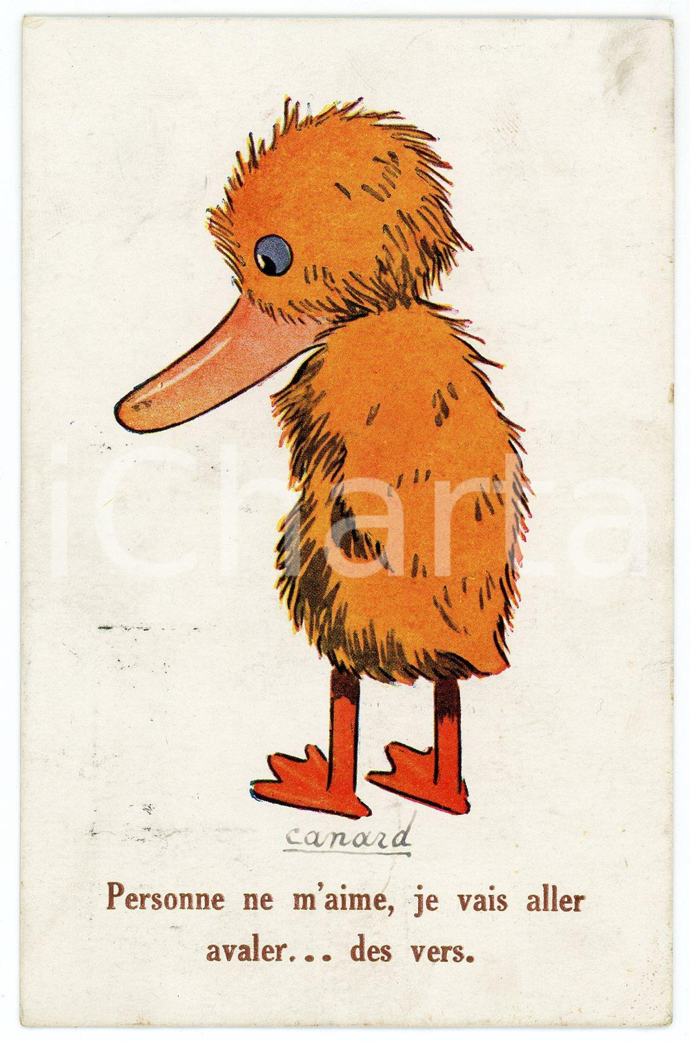 1900ca CANARD Personne ne m'aime, je vais aller avaler...des vers CARTE POSTALE  Cartolina postale d'epoca, viaggiata.CONDIZIONI: fairFORMATO: FP    originale e autentica 1