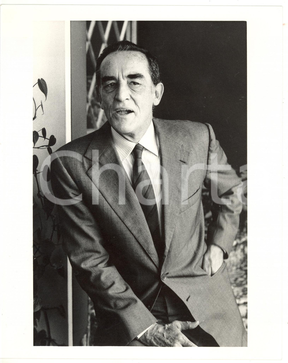 1988 CINEMA Ritratto di Vittorio GASSMAN - Fotografia VINTAGE 20x25 cm