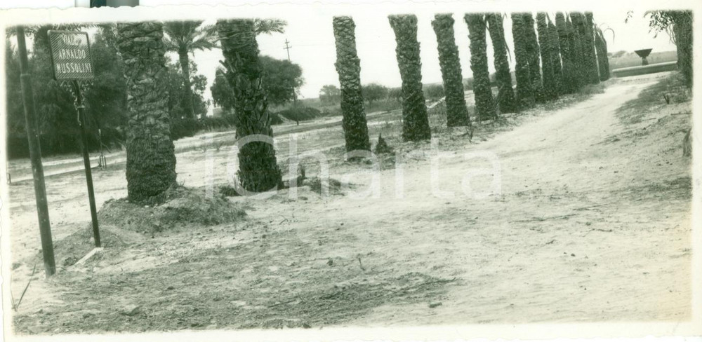 Fotografia d epoca originale 1935 ca TRIPOLI LIBIA Il nuovo Viale Arnaldo MUSSOLINI Fotografia 1