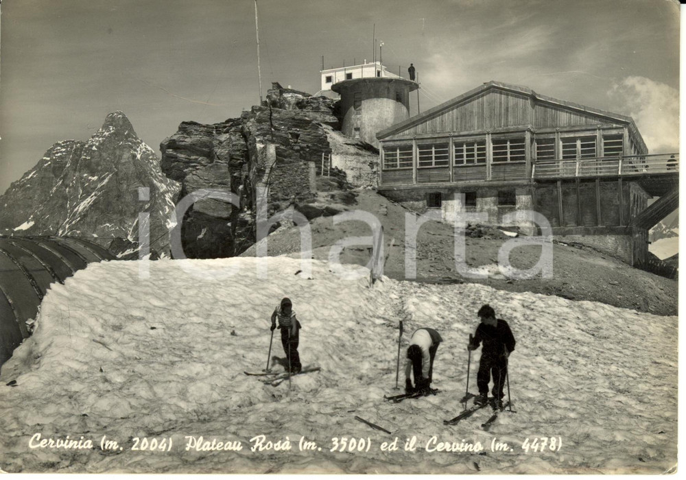 1952 CERVINIA (AO) Cervinia, Plateau Rosà ed il Cervinio Cartolina postale FG VG