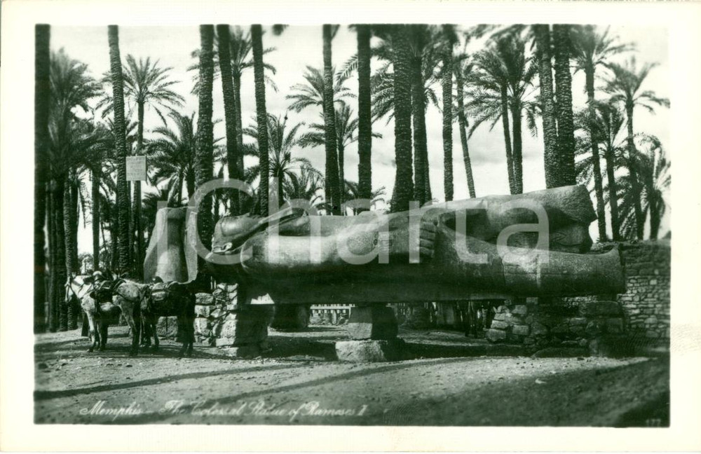 Cartolina originale da collezione 1940 ca MEMPHIS La statua di RAMSES I LEHNERT LANDROCK 1