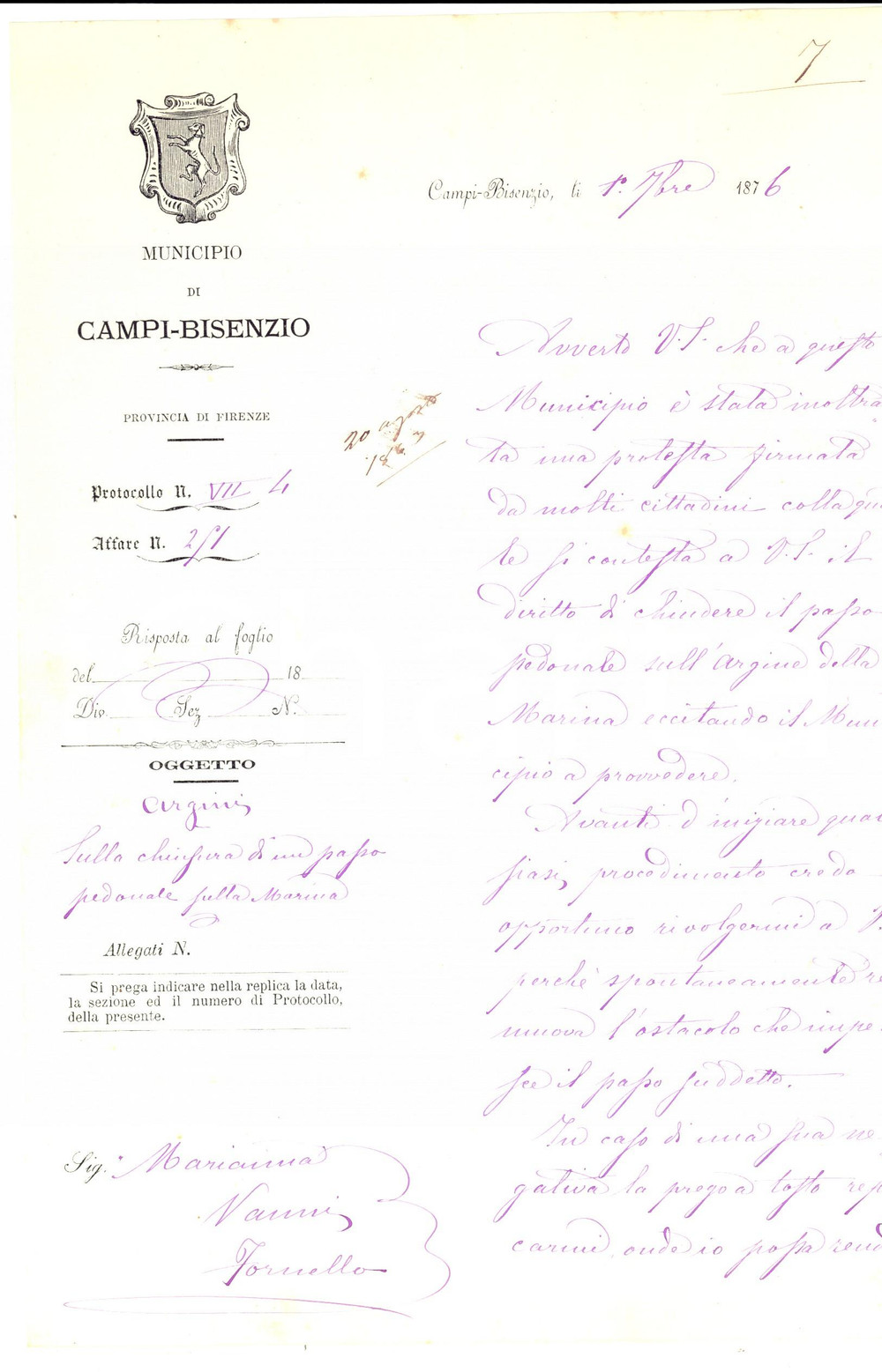 Documento originale, autentico 1876 CAMPI BISENZIO Anna VANNI accusata per chiusura passo TORRENTE MARINA 1