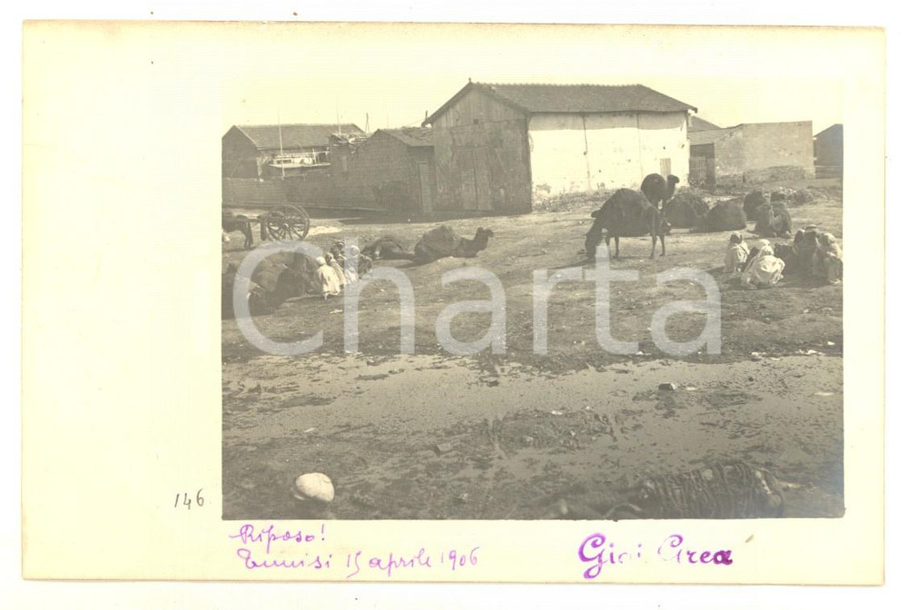 1906 TUNISI - COSTUME Carovana di beduini a riposo *Fotocartolina