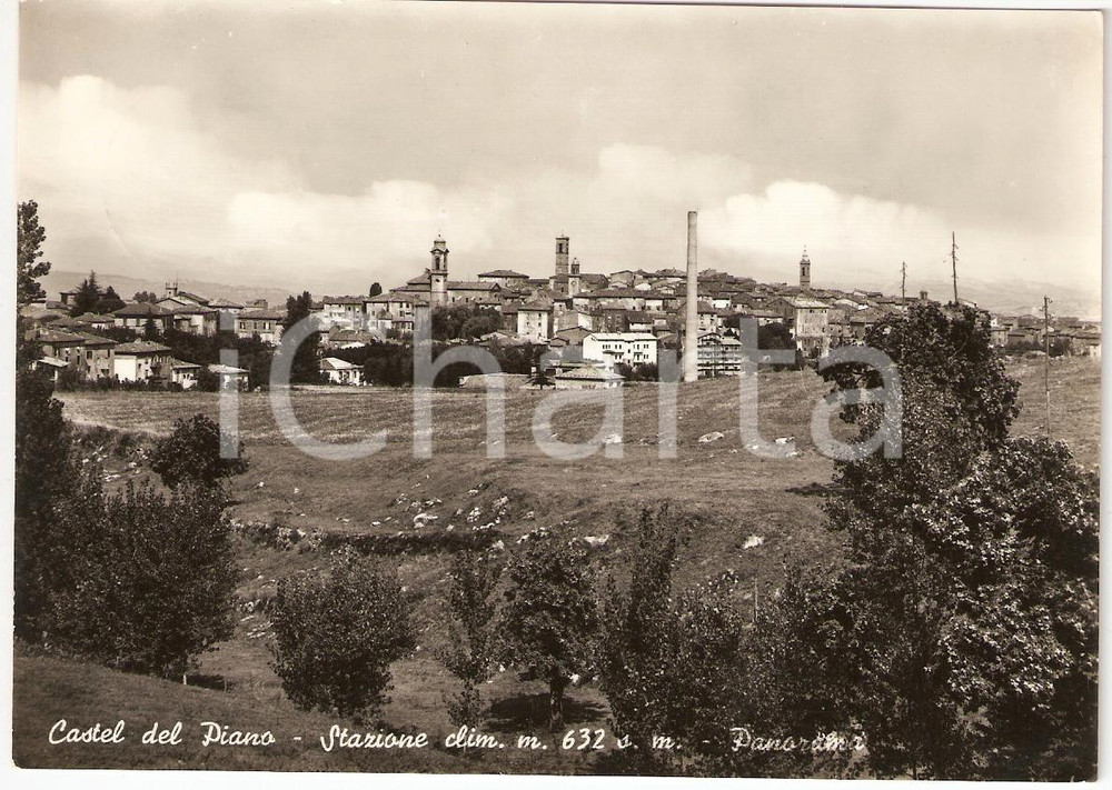 Cartolina originale da collezione 1956 CASTEL DEL PIANO (GR) Stazione climatica Chiesa NATIVITA' DI MARIA *FG VG 1