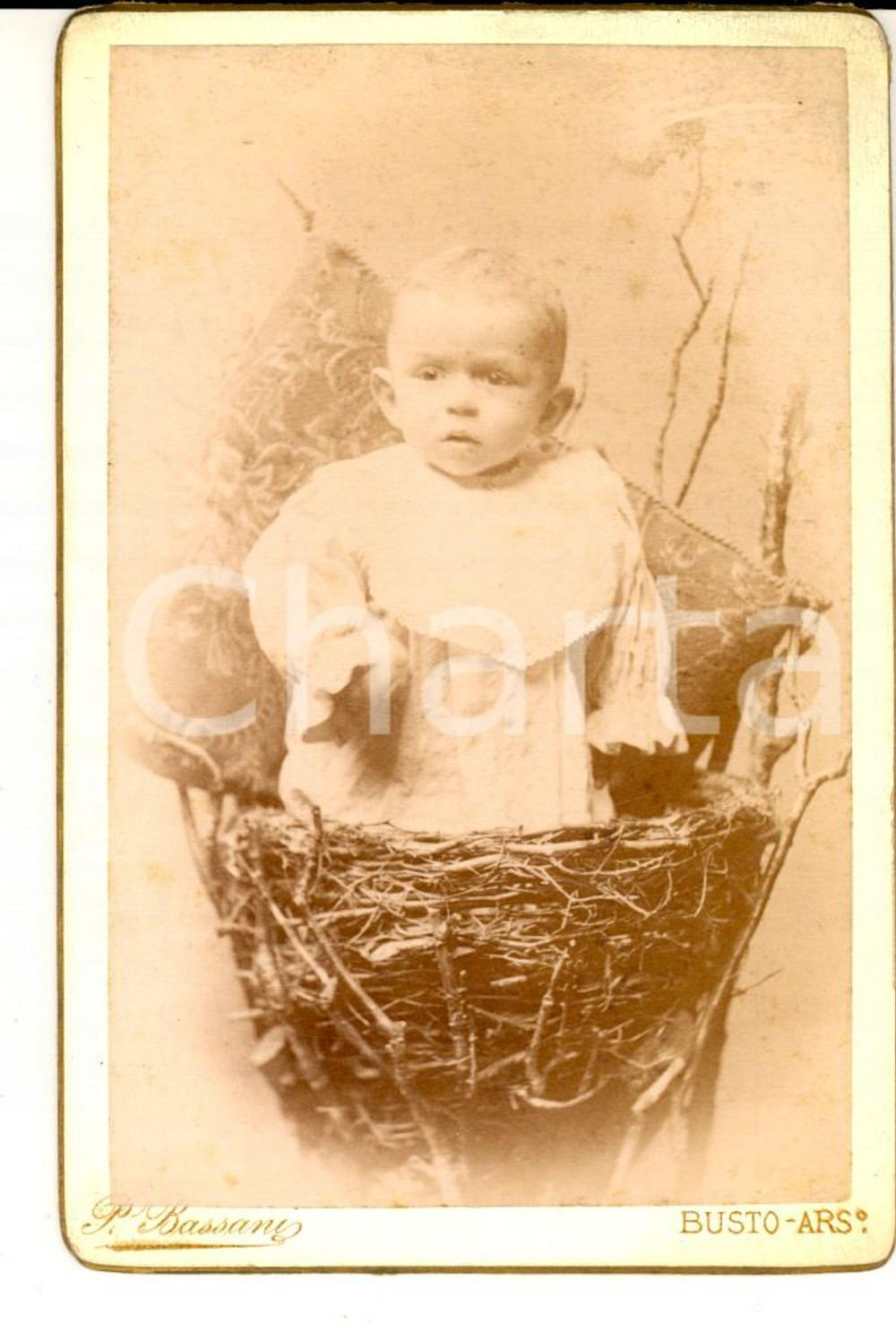 Fotografia d epoca originale 1900 ca BUSTO ARSIZIO VA Bambino in una cesta di vimini Foto Pompeo BASSANI 1
