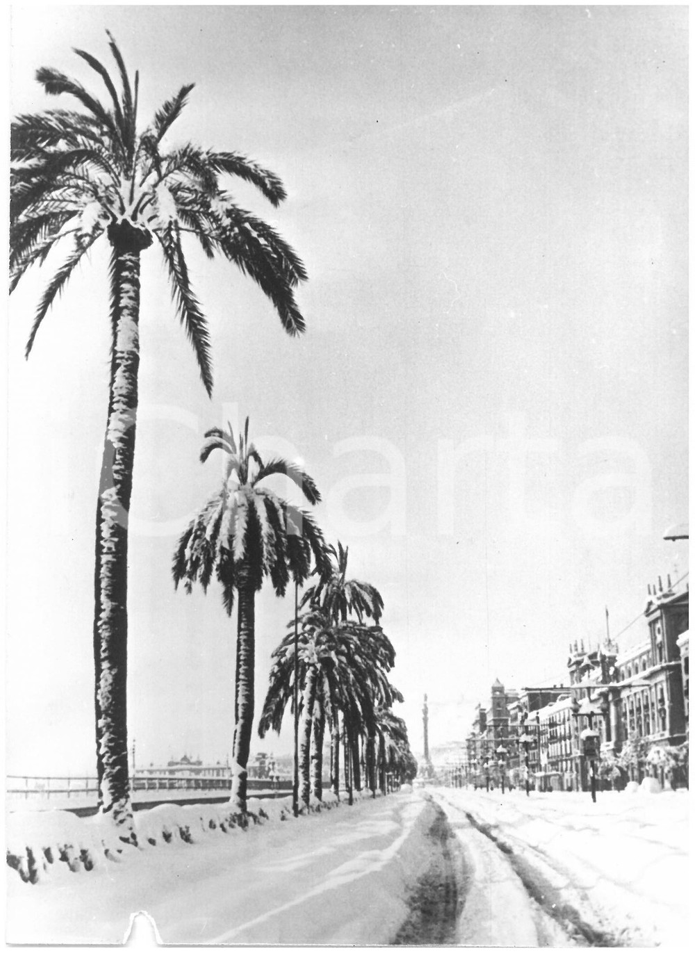 1962 AREA DI BARCELLONA Eccezionale nevicata lungo la costa *Foto 13x18 cm Fotografia d'epoca con didascalia coeva al verso.  CONDIZIONI: POOR (piccola mancanza al margine inferiore; bassa qualit&agrave; di stampa) CONDIZIONI: 13x18 cm    originale e autentica 1