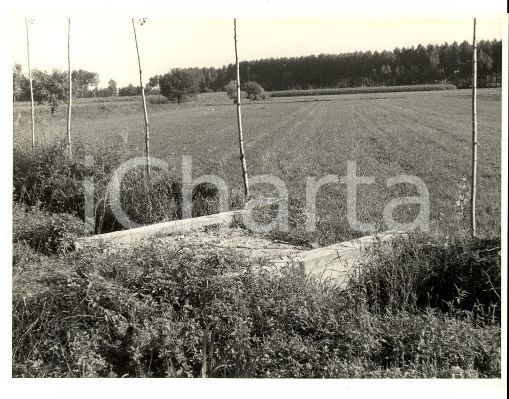 Fotografia d epoca originale 1950 ca SUARDI PV Un panorama di campagna Fotografia artistica 18x23 1