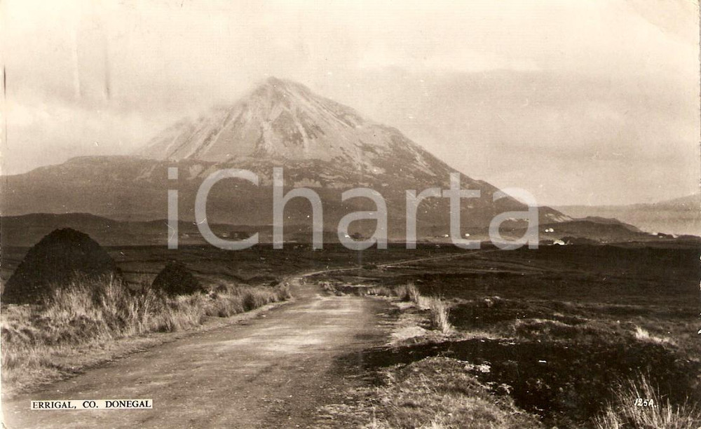 Cartolina originale da collezione 1950 ca GAOTH DOBHAIR IRELAND Landscape of Mount ERRIGAL Postcard 1