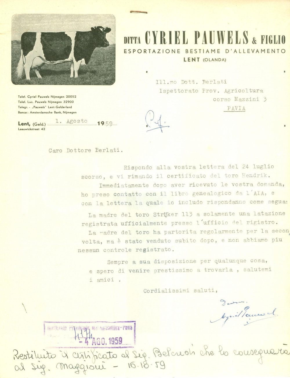 Documento originale, autentico 1959 LENT (OLANDA) Ditta Cyriel PAUWELS & Figlio esportazione bestiame *Lettera 1