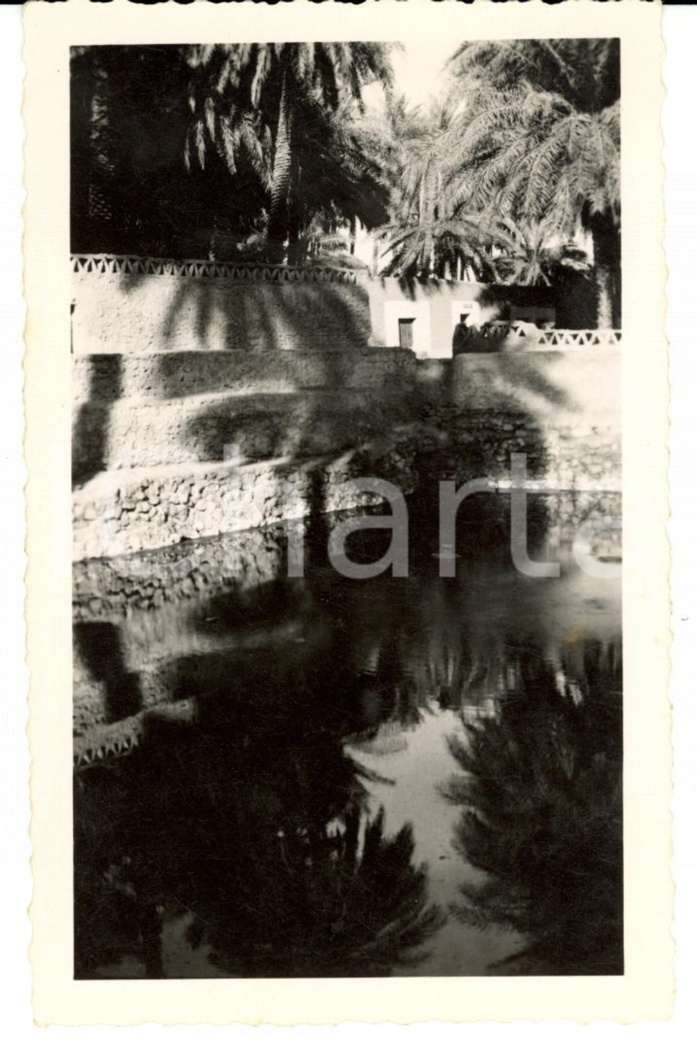 Fotografia d'epoca originale 1934 GHADAMES (LIBIA) Ain el Frass - Sorgente della cavalla *Foto Gino MATTEUCCI 1