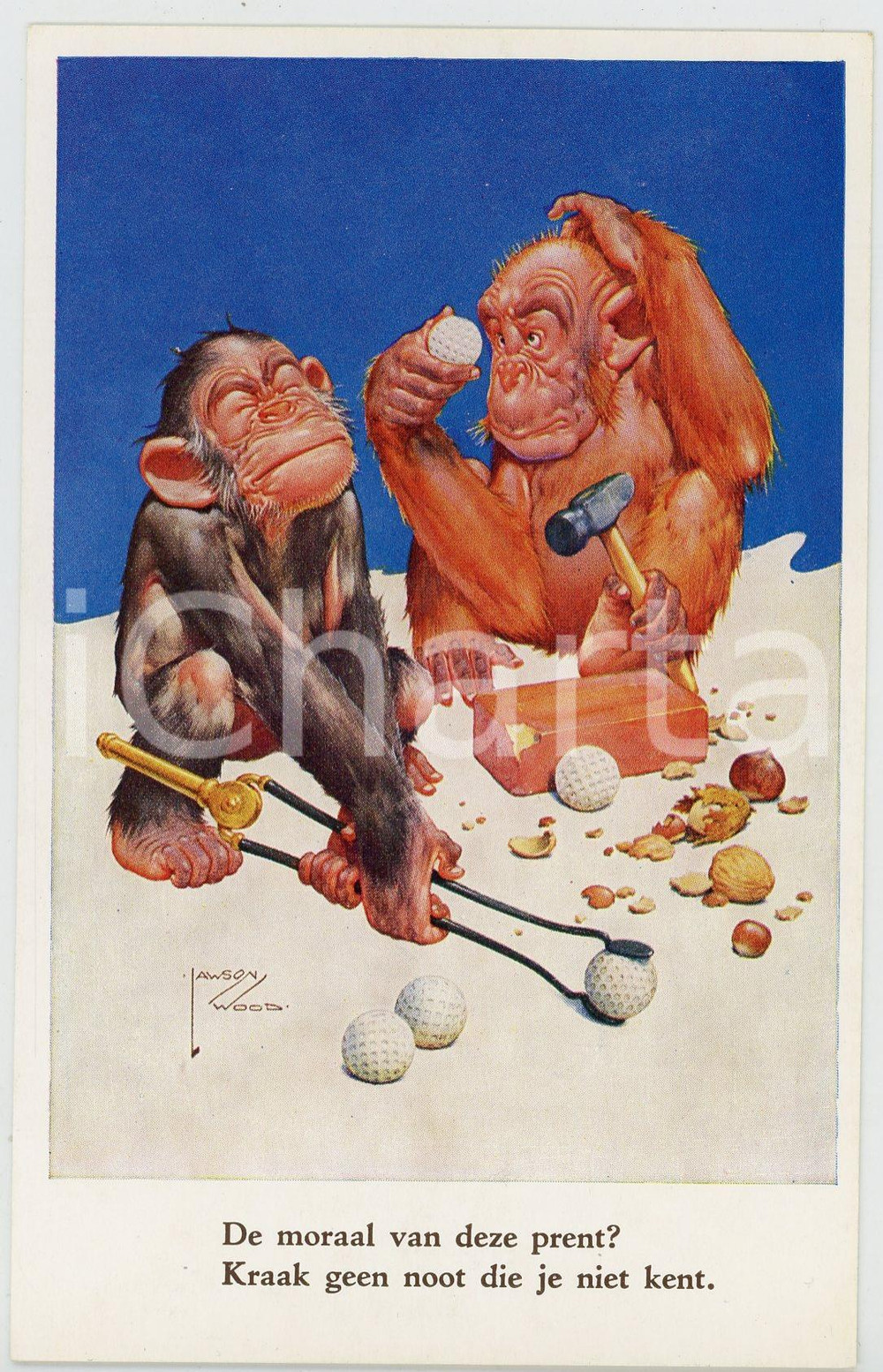 1920 ca ANIMALS Artist Lawson WOOD Monkey dad - Postcard GRAN'POP Series (11)  Cartolina postale d'epoca, non viaggiata.CONDIZIONI: GOODFORMATO: FP    originale e autentica 1