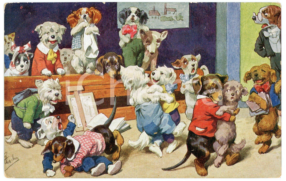 1937 ANIMALS Dog school ANTHROPOMORPHIC Postcard FP VG  Cartolina postale d'epoca, viaggiata.CONDIZIONI: FAIR (smussature e sbrecciature agli angoli)FORMATO: FP    originale e autentica 1