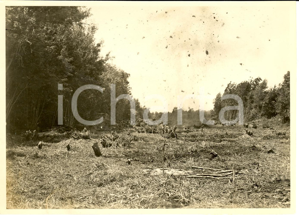 Fotografia d'epoca originale 1930 TERRACINA Cioccatura esplosivi a PANTANI DA BASSO 1