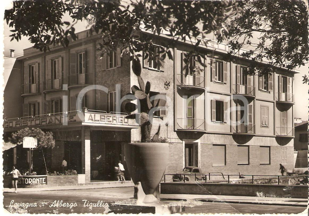 Cartolina originale da collezione 1955 ca LAVAGNA GE Cactus gigante davanti all Albergo TIGULLIO Cartolina FG NV 1