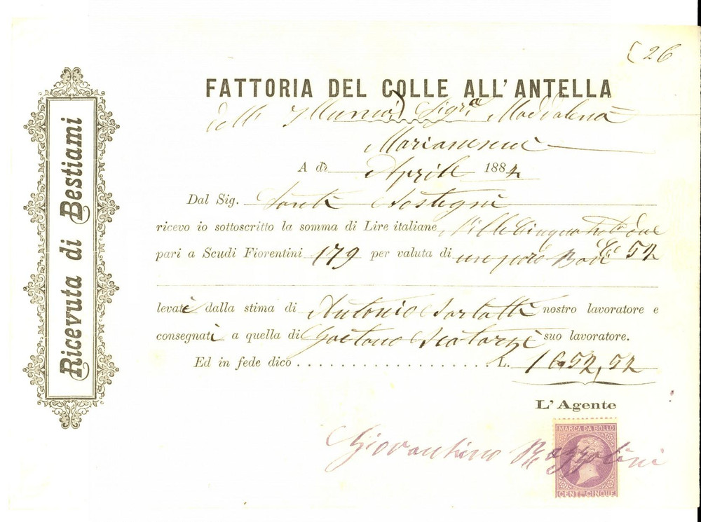 Documento originale, autentico 1884 BAGNO A RIPOLI Fattoria del COLLE ALL ANTELLA Ricevuta di bestiami 1