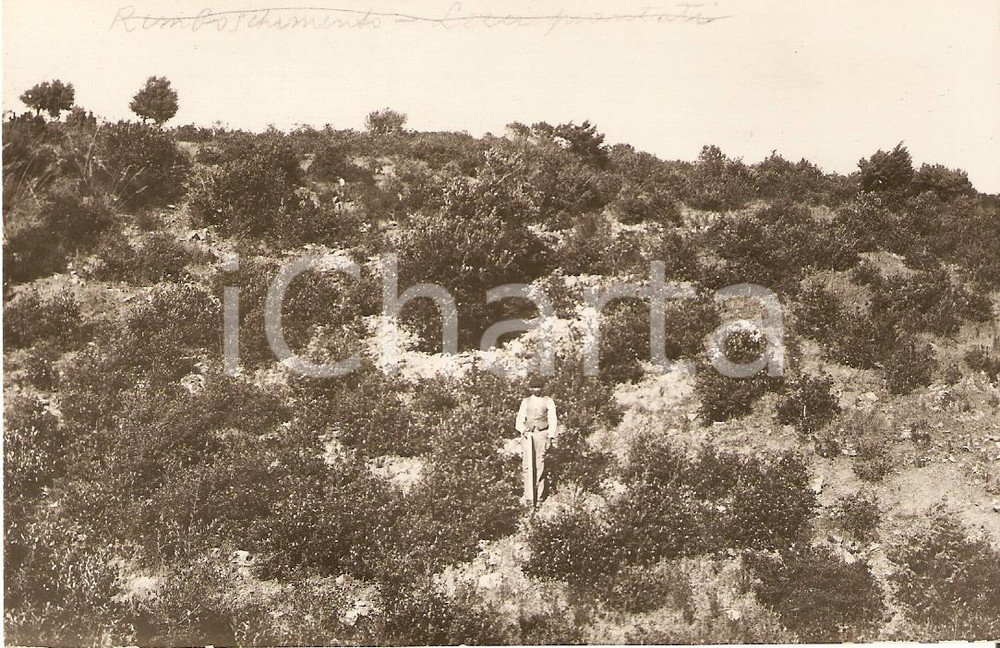 Fotografia d'epoca originale 1930 ca SINNAI CA Rimboschimento del CAMPIDANO Animata 1